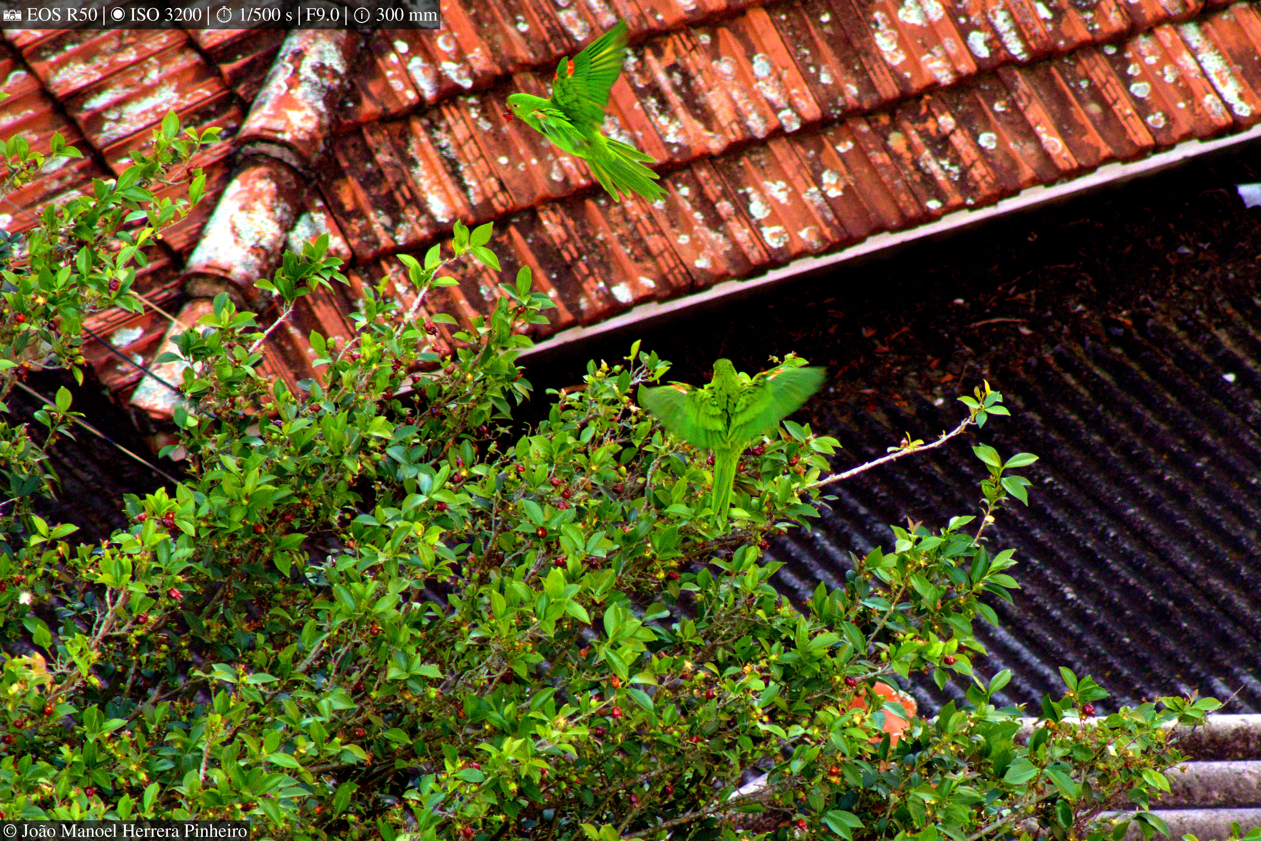 Photography