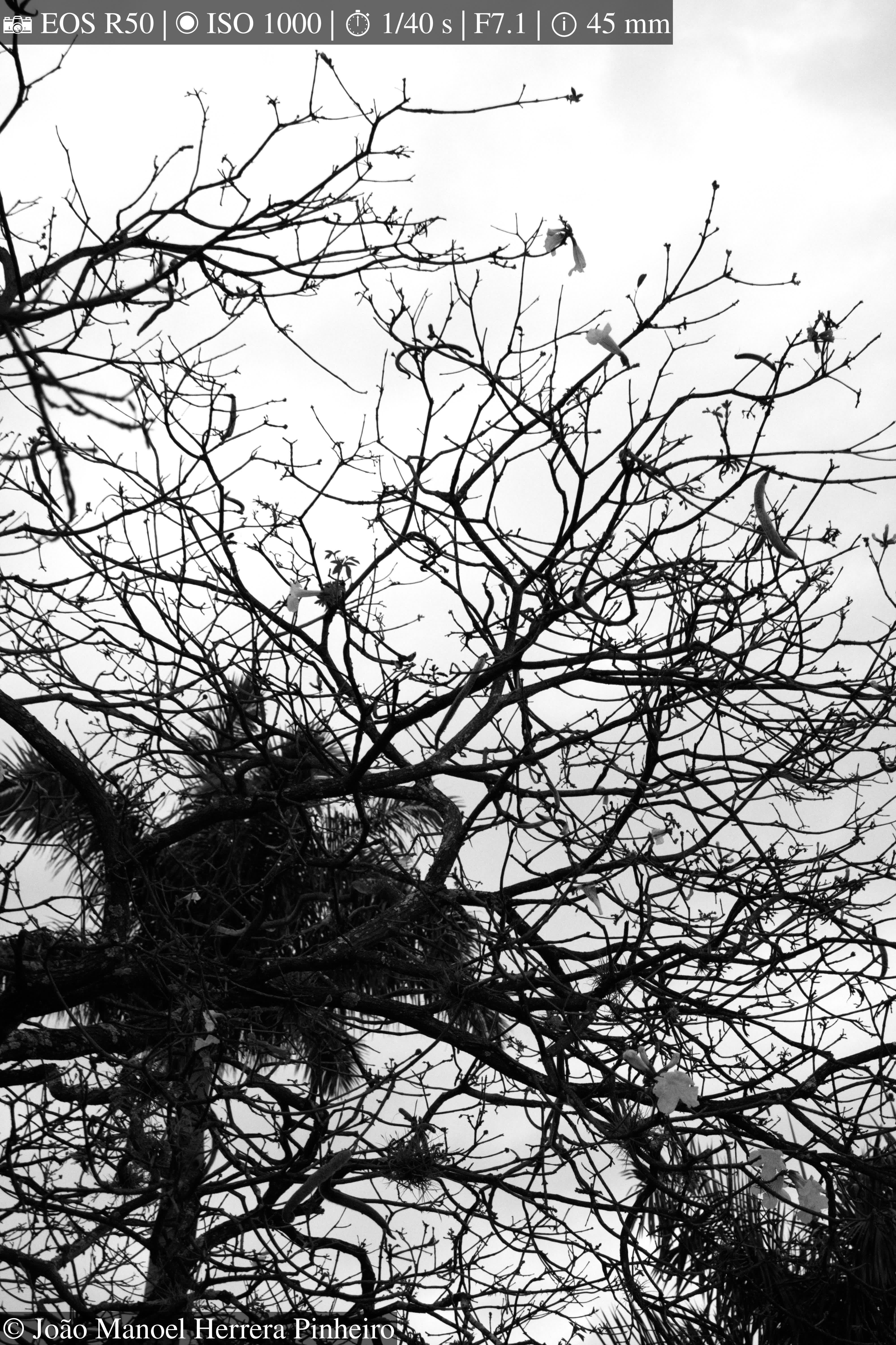 Photography