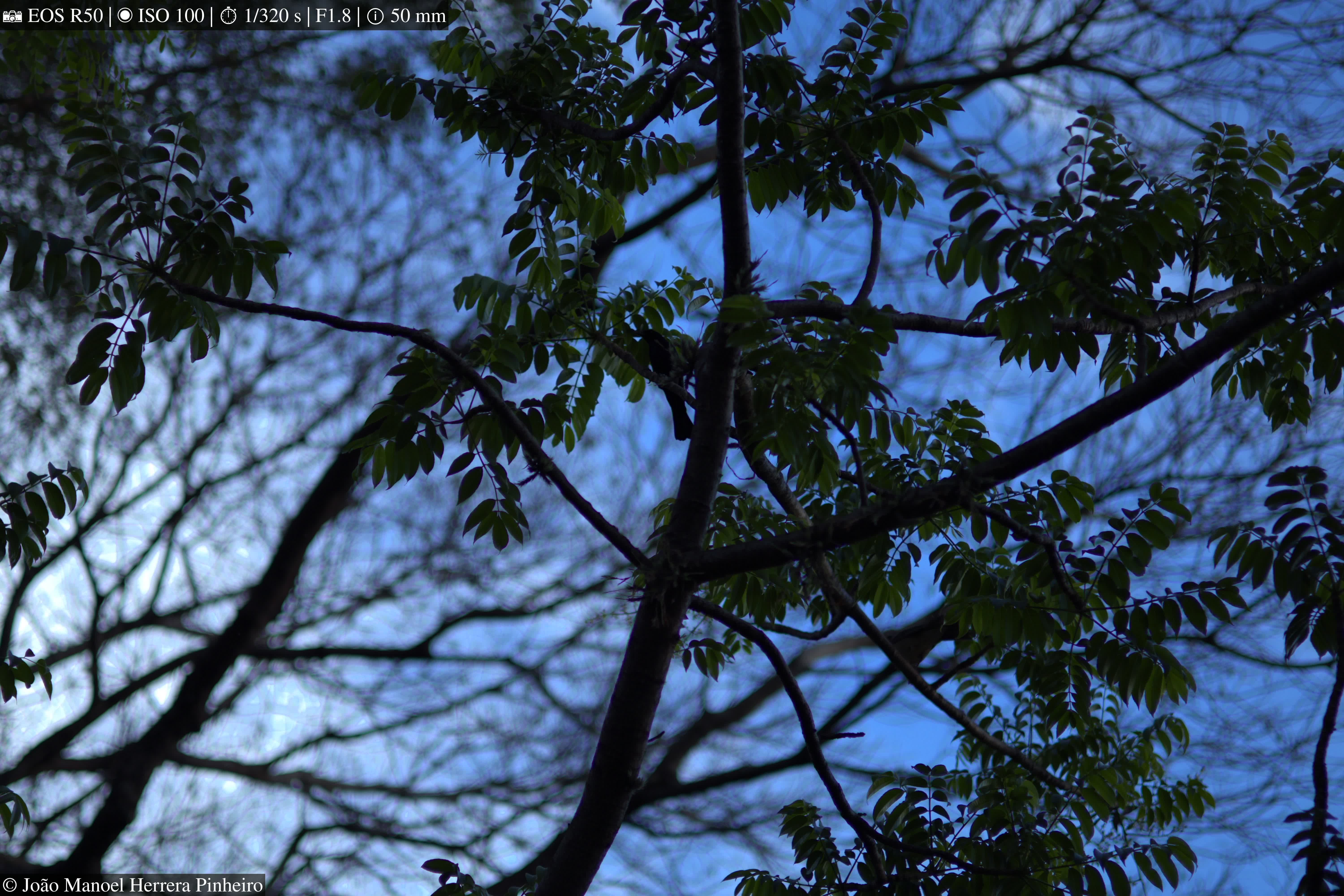 Photography