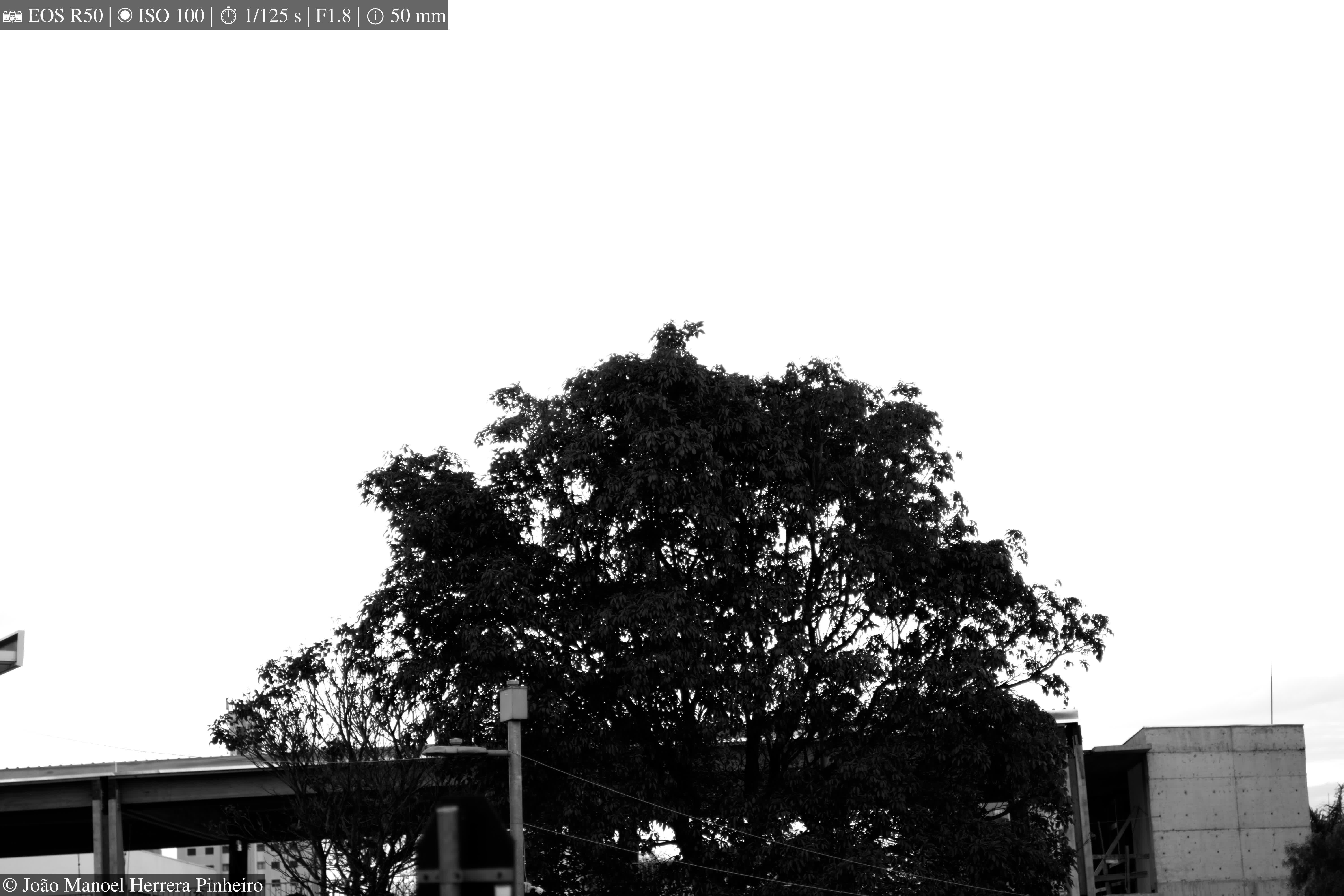 Photography