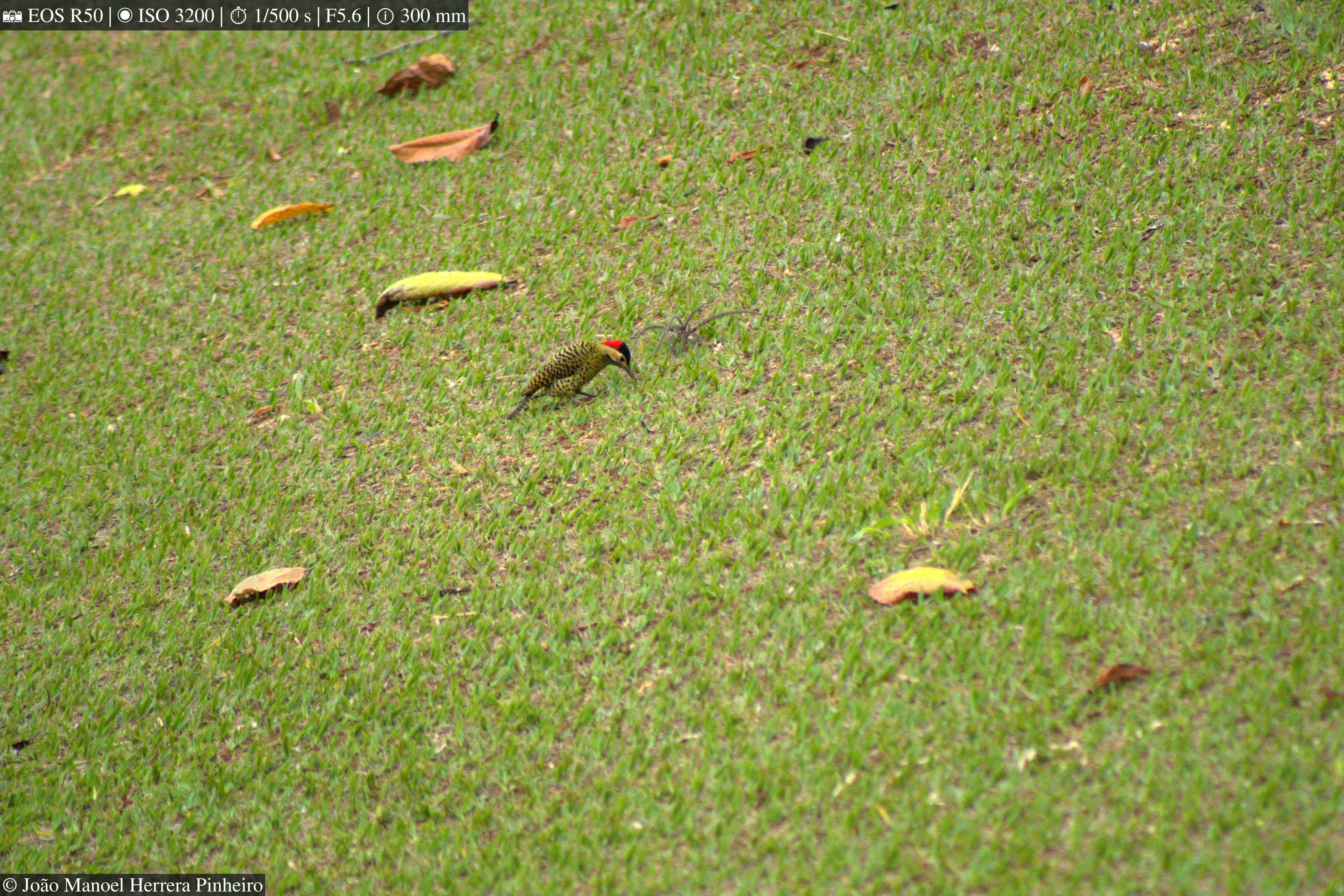 Photography